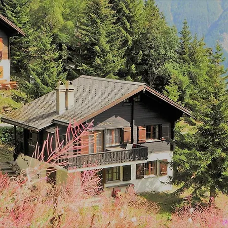 Jadwiga Eg Apartment Bettmeralp
