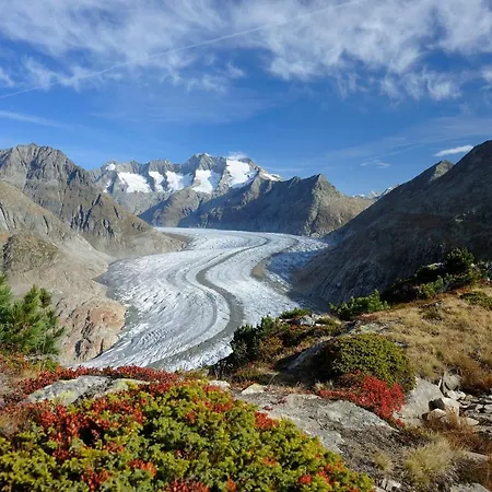 Jadwiga Eg Apartment