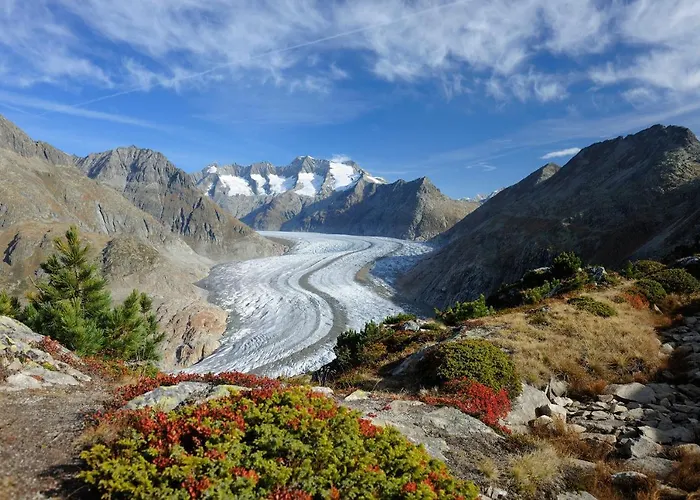 Jadwiga Eg Lägenhet